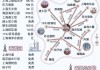 上海景点攻略地图全图-上海景点攻略