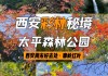 太平森林公园开放时间_太平森林公园近期开放吗