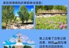 8月稻城亚丁游记-8月稻城亚丁旅游攻略