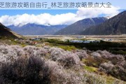 林芝旅游攻略自由行_林芝旅游攻略景点大全