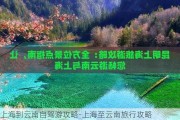 上海到云南自驾游攻略-上海至云南旅行攻略