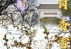 萝岗香雪公园赏花时间-萝岗香雪公园春节开门吗