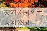 天河公园图片,天河公园