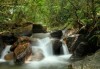 广州王子山森林公园门票多少钱-广州 王子山