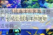 长风公园海洋世界海洋世界,长风公园海洋世界电话号码