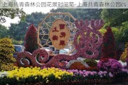 上海共青森林公园花展时间菊-上海共青森林公园cs