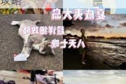 上海到夏威夷旅游攻略路线图-上海到夏威夷旅游攻略