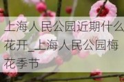 上海人民公园近期什么花开_上海人民公园梅花季节