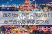 西双版纳春节去玩适合吗,春节西双版纳旅游攻略