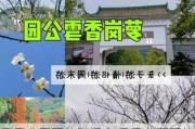 香雪公园开放时间表,香雪公园开放时间