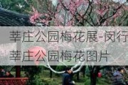 莘庄公园梅花展-闵行莘庄公园梅花图片