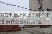 泰安利民小区属于哪个街道,泰安公园利民小区