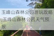 玉峰山森林公园游玩攻略,玉峰山森林公园天气预报