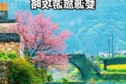 婺源春节游记攻略一日游-婺源春节游记攻略