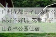 广州花都王子山森林公园好不好玩_花都王子山森林公园住宿