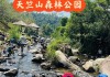 厦门天竺山森林公园门票多少钱_厦门天竺山公园免费吗