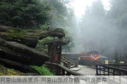 阿里山旅游景点-阿里山旅游攻略一日游推荐