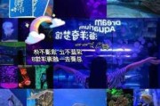 深圳海洋公园在哪里-深圳海洋公园营业时间