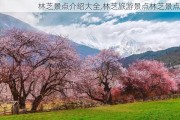 林芝景点介绍大全,林芝旅游景点林芝景点