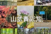 武汉森林公园地址,武汉森林公园营业时间