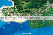 红树林海滨公园怎么去,到红树林公园怎么坐车