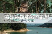 流溪河森林公园怎么走,流溪河森林公园怎么走公交车