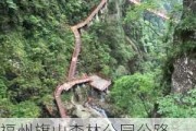 福州旗山森林公园公路,福州旗山森林公园有什么好玩的