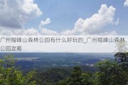 广州帽峰山森林公园有什么好玩的_广州帽峰山森林公园攻略