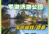 深圳洪湖公园一圈多少公里,深圳洪湖公园要门票吗