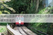 阿里山旅游攻略必玩的景点-阿里山旅游攻略大连最新