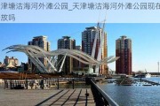 天津塘沽海河外滩公园_天津塘沽海河外滩公园现在开放吗