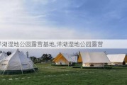 洋湖湿地公园露营基地,洋湖湿地公园露营