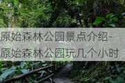 原始森林公园景点介绍-原始森林公园玩几个小时