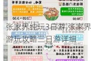 张家界纯玩3日游,张家界游玩攻略三日游详细