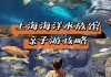 上海海洋水族馆游记,上海海洋水族馆攻略