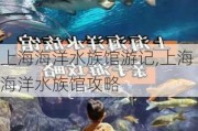 上海海洋水族馆游记,上海海洋水族馆攻略