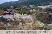 春季山东旅游景点-春季旅游山东攻略