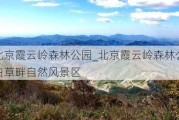 北京霞云岭森林公园_北京霞云岭森林公园白草畔自然风景区