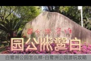 白鹭洲公园怎么样-白鹭洲公园游玩攻略