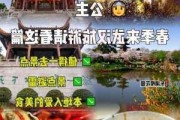 武汉春季游玩-武汉春季旅游攻略最新消息