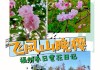 福州森林公园赏花-福州森林公园赏花时间