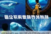 杭州极地海洋公园室内还是室外_杭州极地海洋公园冷吗