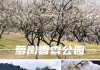 香雪公园游玩攻略-香雪公园开放吗