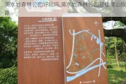 滴水岩森林公园好玩吗,滴水岩森林公园最佳爬山线路