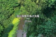 重庆主城湿地公园排名-重庆湿地公园介绍