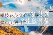 攀枝花英文介绍_攀枝花景点英语介绍