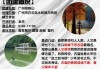 广州帽峰山森林公园哪个门进-广州帽峰山开放时间