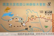 胡杨林旅游路线_胡杨林自驾游路线