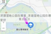 洋湖湿地公园在哪里_洋湖湿地公园在哪里呀