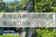 板障山森林公园预约_板障山入口在哪